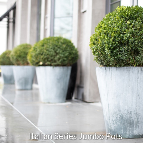 italian-series-jumbo-pots-2021